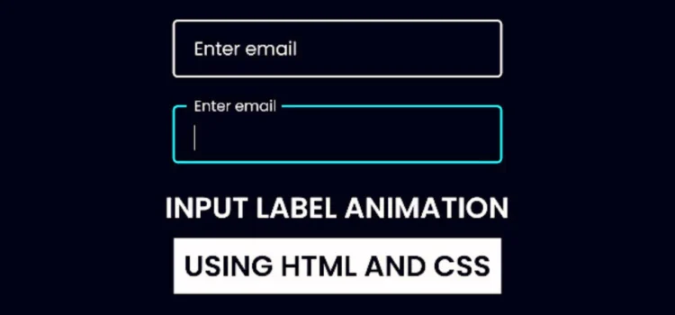 Master Input Label Animations in HTML & CSS