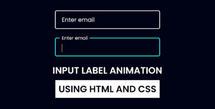 Input Label Animations in HTML & CSS