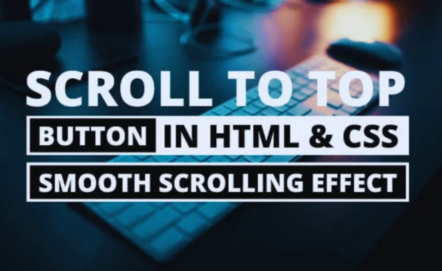 Scroll To Top Button created with HTML and CSS for improved user navigation