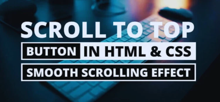 Scroll To Top Button Using HTML & CSS