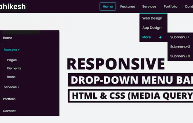 Example of Mega and Dropdown Menu