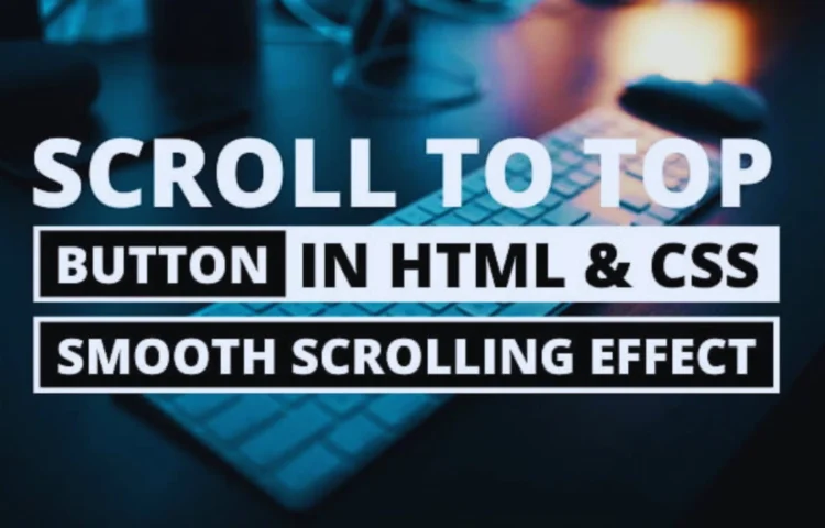 Scroll To Top Button created with HTML and CSS for improved user navigation