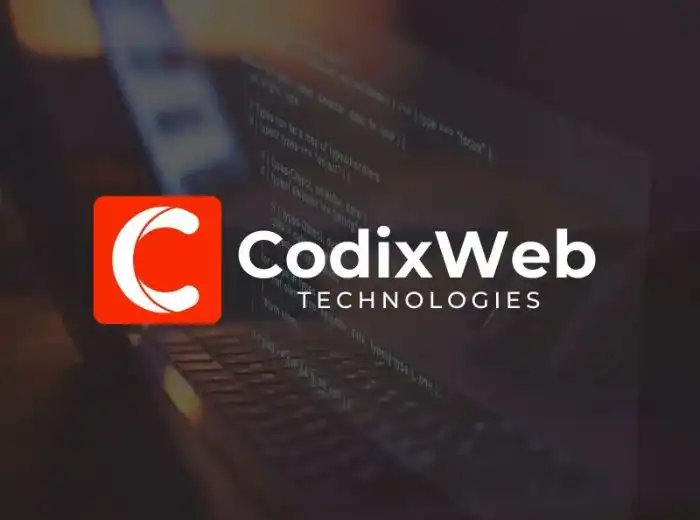 CodixWeb Technologies web development and digital marketing company